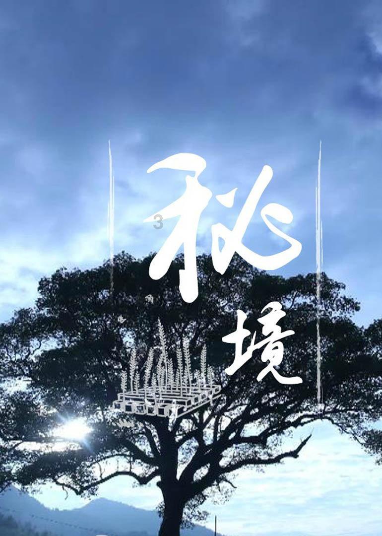 蜘蛛森林逃生
